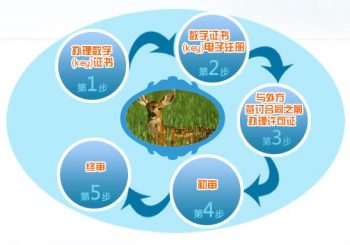 进口动植物产品报关手续